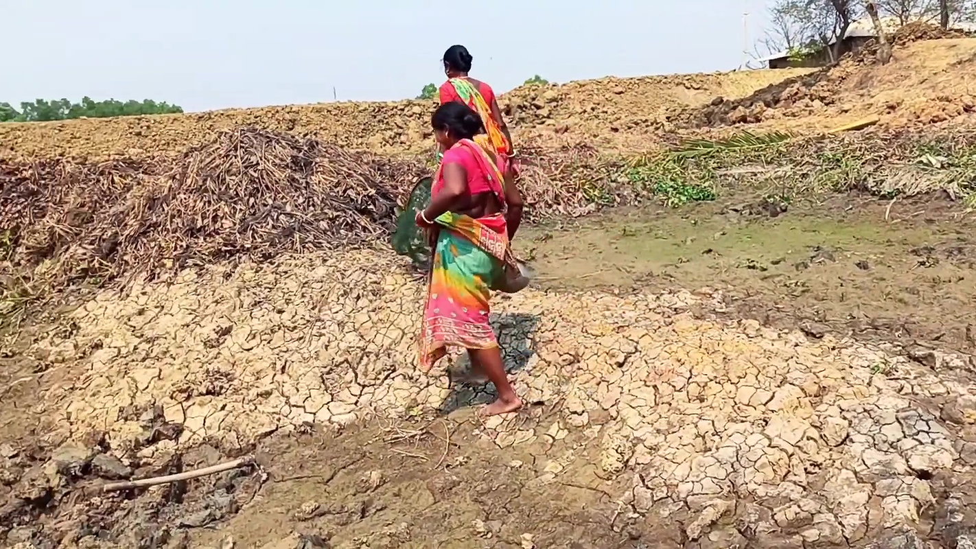 Amazing Traditional Hand Fishing by Village women