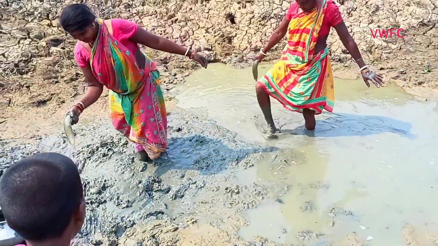 Amazing Traditional Hand Fishing by Village women