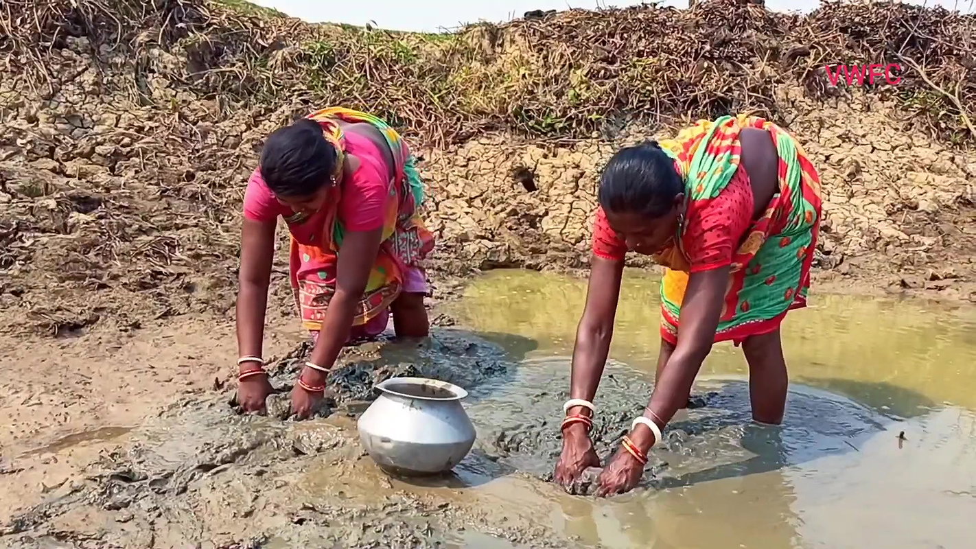 Amazing Traditional Hand Fishing by Village women