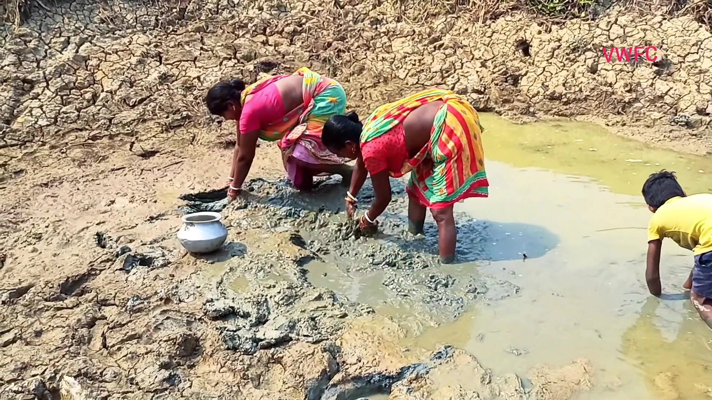 Amazing Traditional Hand Fishing by Village women