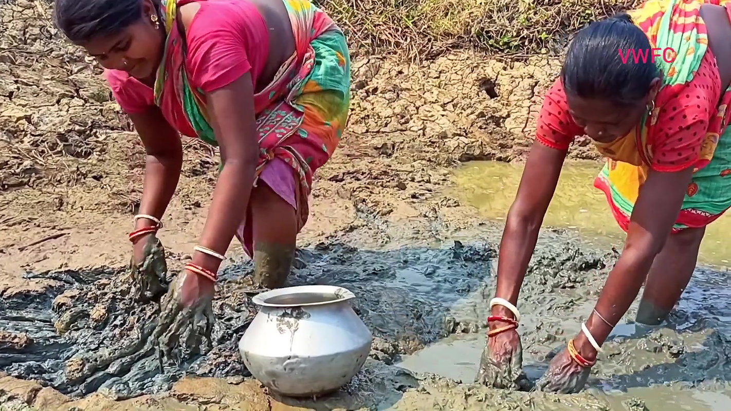 Amazing Traditional Hand Fishing by Village women