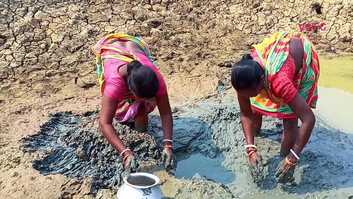 Amazing Traditional Hand Fishing by Village women