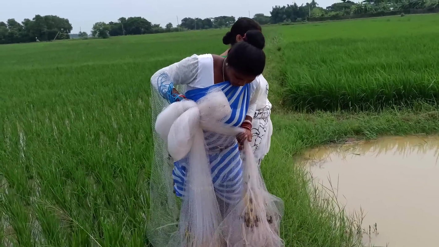 Amazing Two Village Women Catching Fish with Net