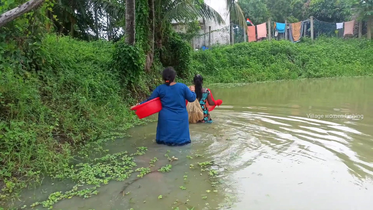 Amazing Village Ladies Net fishing in village pond