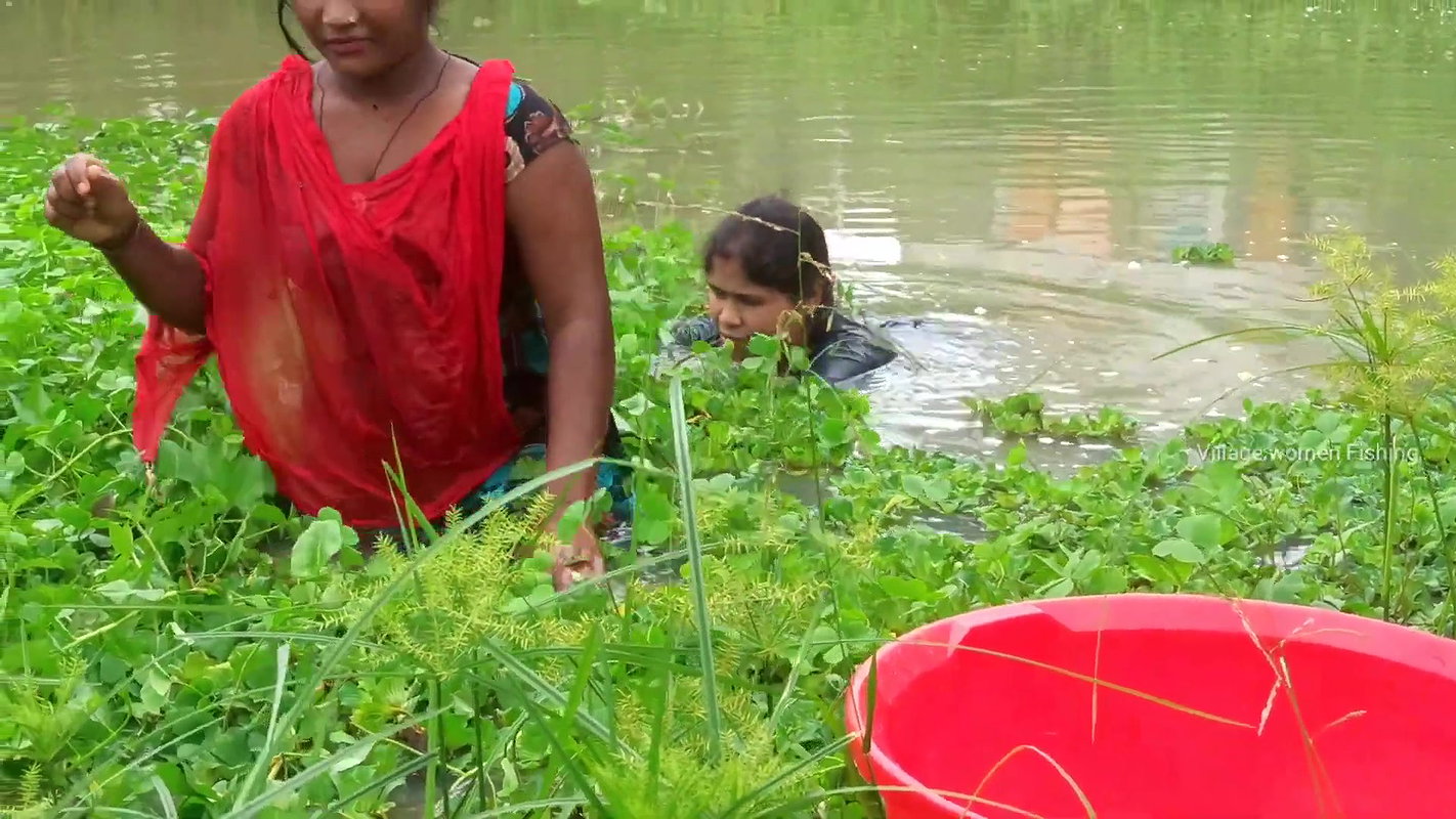 Amazing Village Ladies Net fishing in village pond