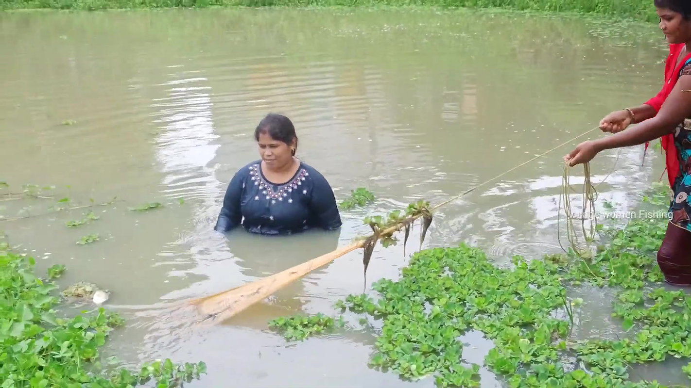Amazing Village Ladies Net fishing in village pond