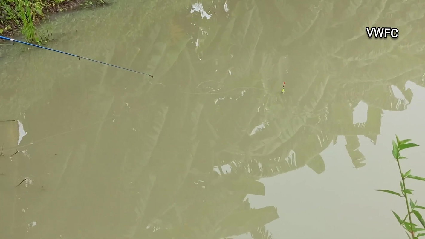 x  Amazing Village Lady Hook fishing   Best Fishing V