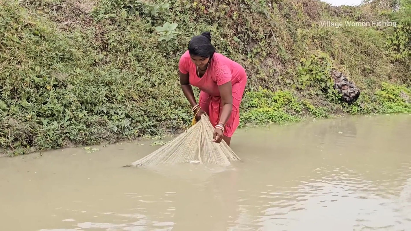 Amazing Village Women Big Carp Fish hunting in Vil