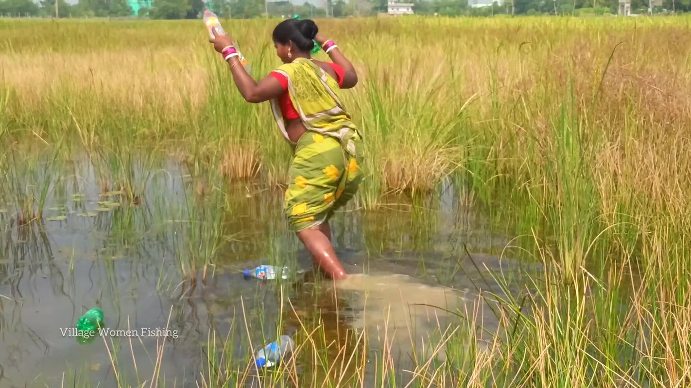 Amazing Village Women Catching Snakehead Fish with