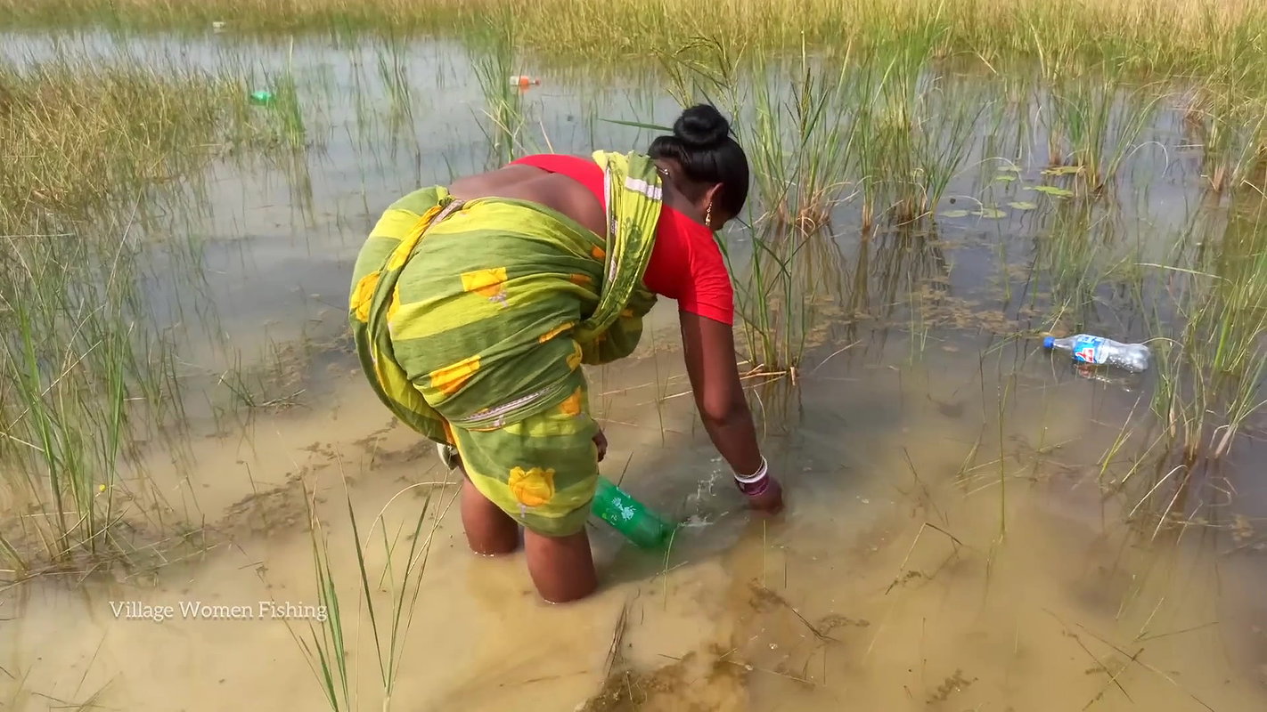 Amazing Village Women Catching Snakehead Fish with