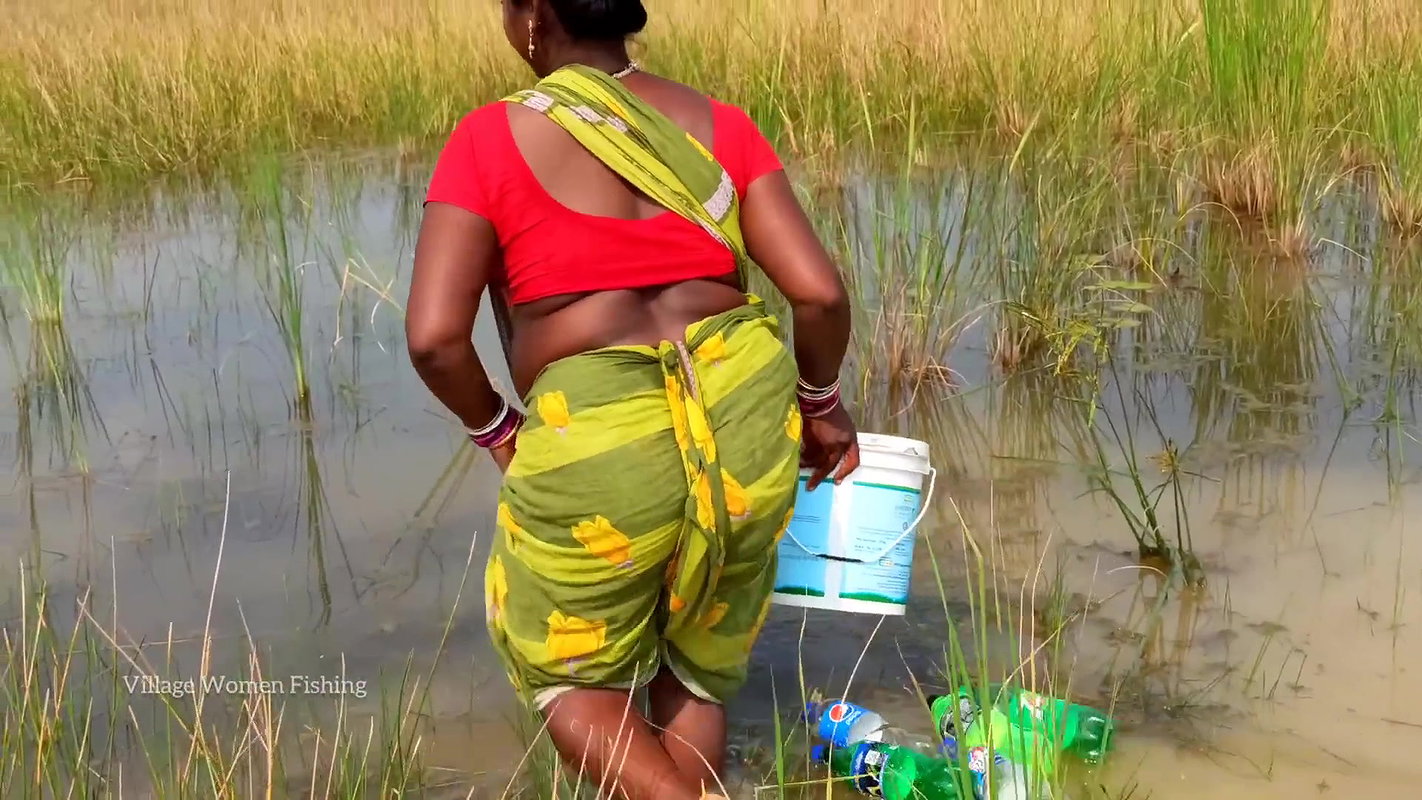 Amazing Village Women Catching Snakehead Fish with