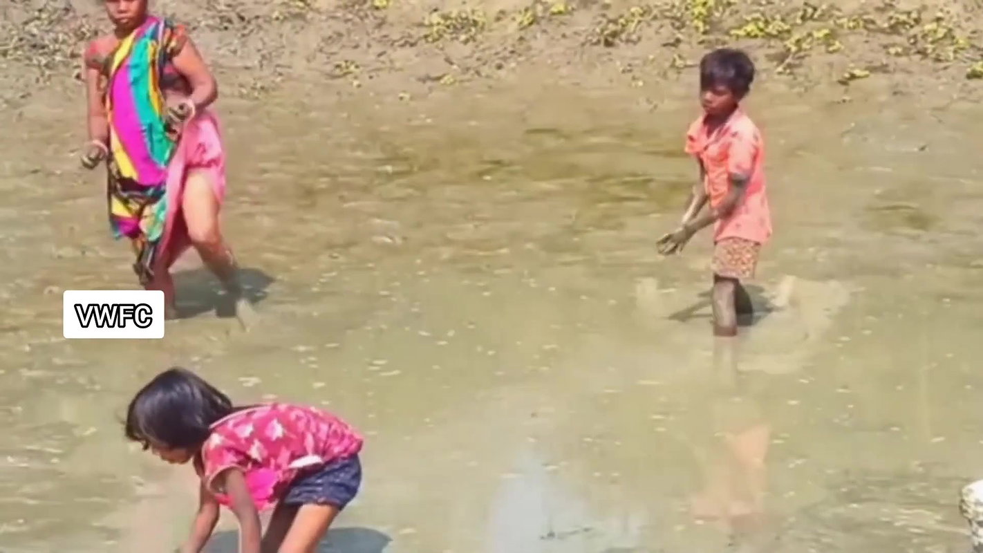 Amazing Village women collecting snails in Mud