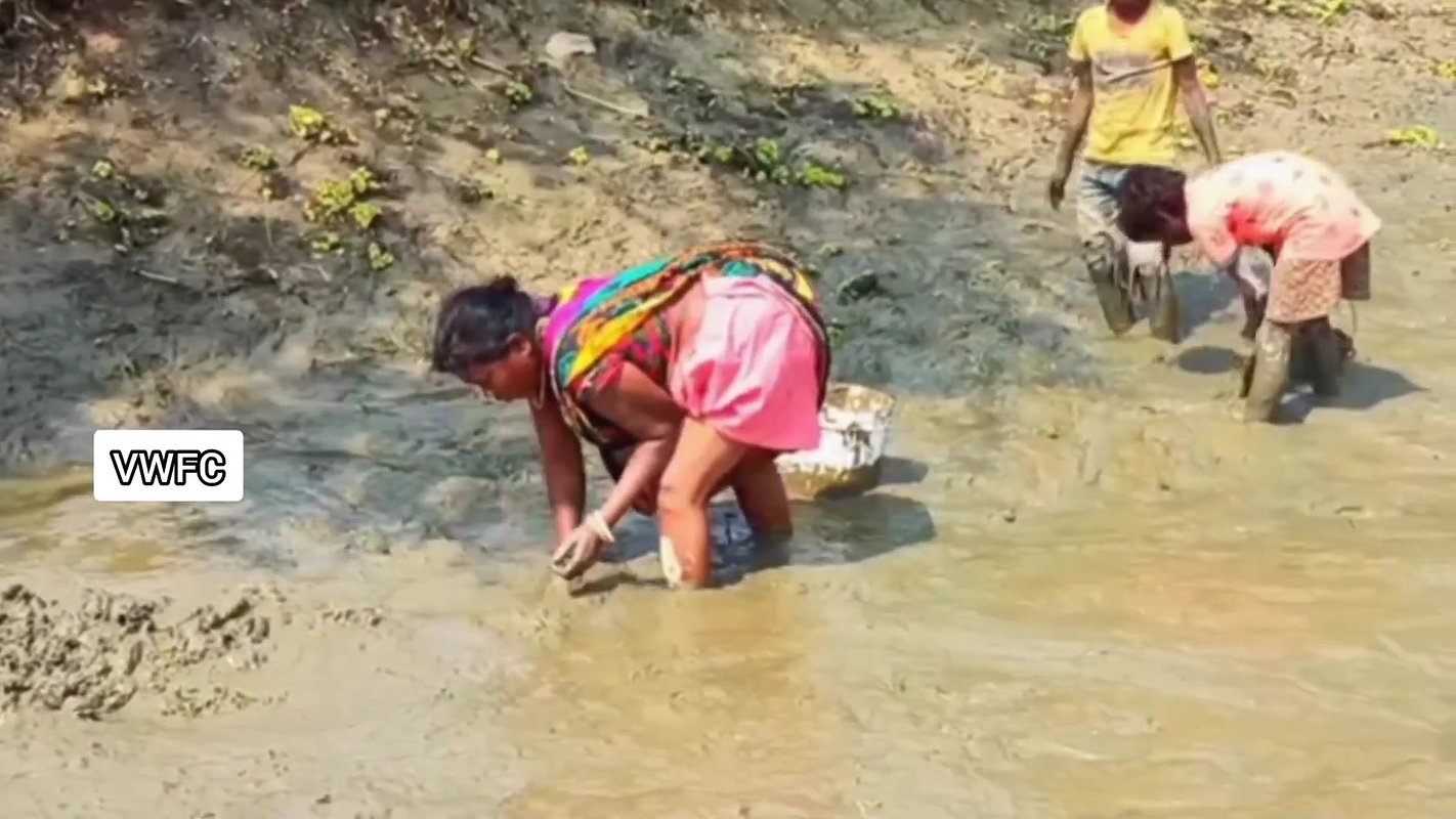 Amazing Village women collecting snails in Mud