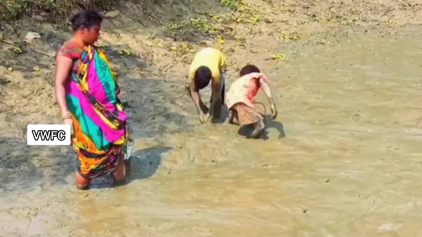 Amazing Village women collecting snails in Mud