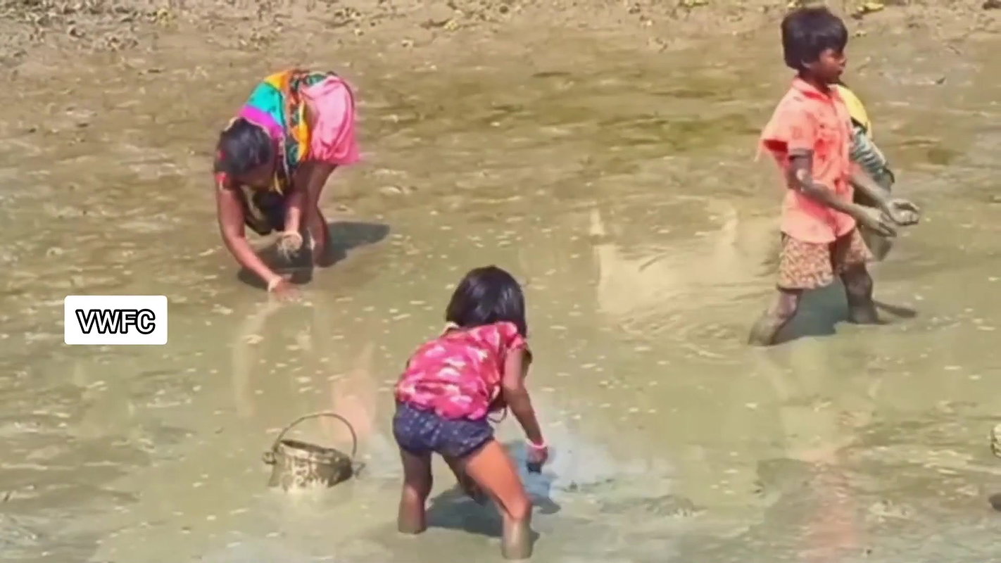 Amazing Village women collecting snails in Mud
