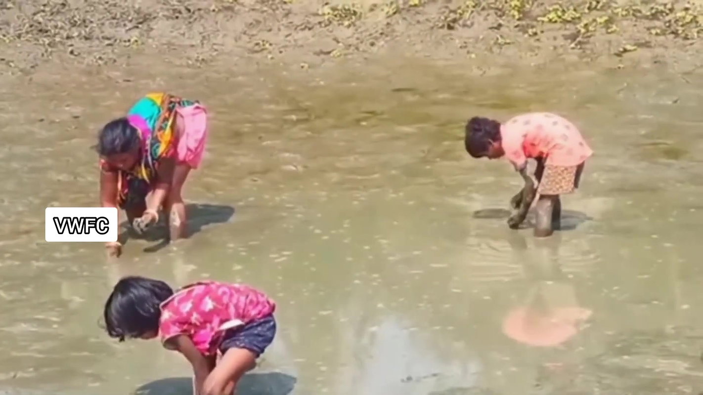 Amazing Village women collecting snails in Mud