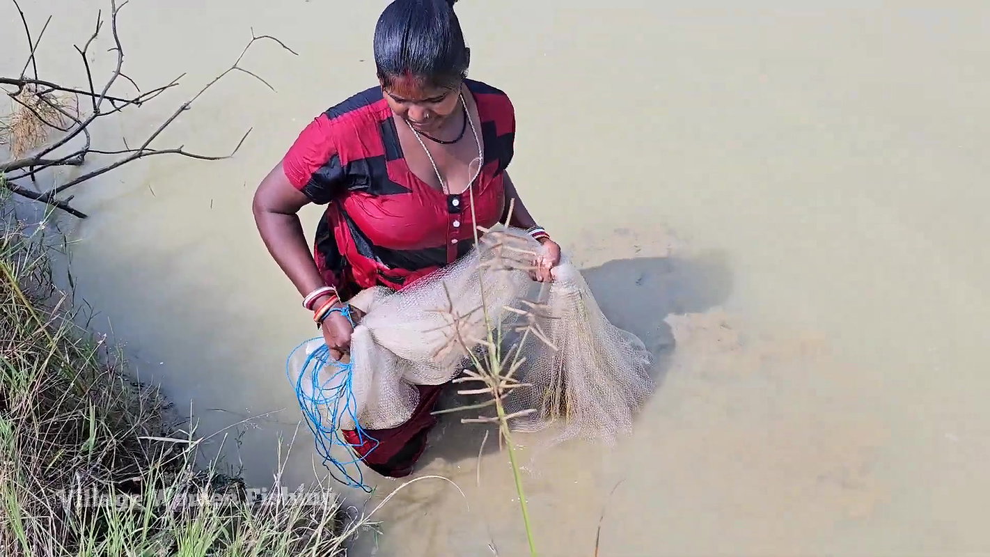 Amazing Village Women Exciting Fishing video    Vi