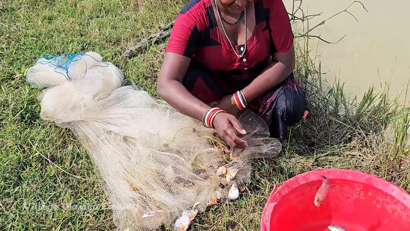 Amazing Village Women Exciting Fishing video    Vi