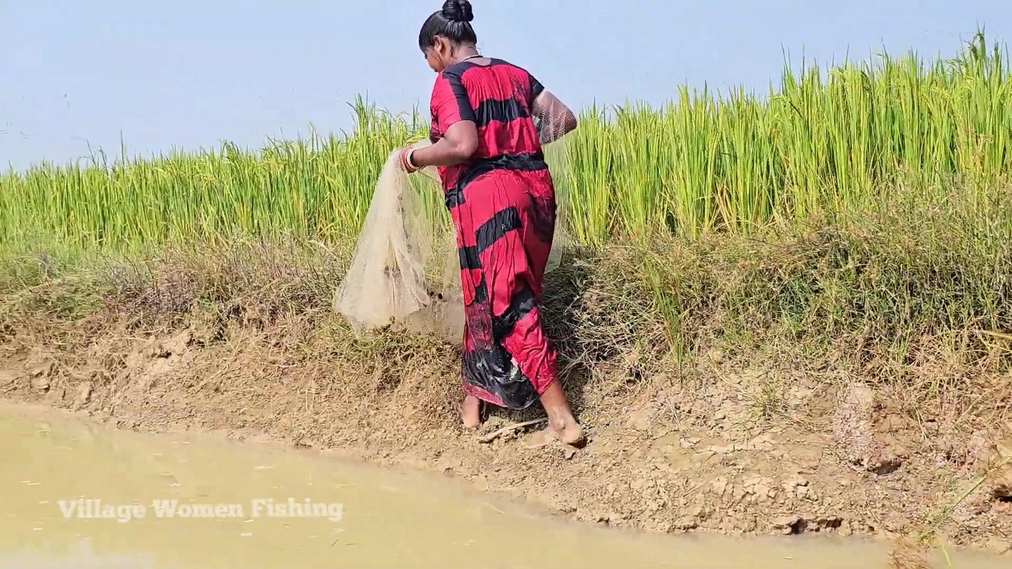Amazing Village Women Exciting Fishing video    Vi