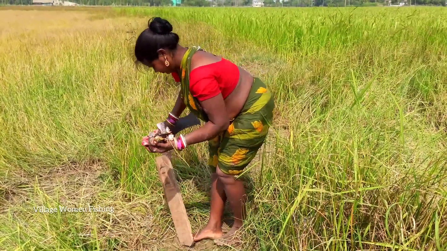 Amazing Village women Fish Cutting and Cooking   V