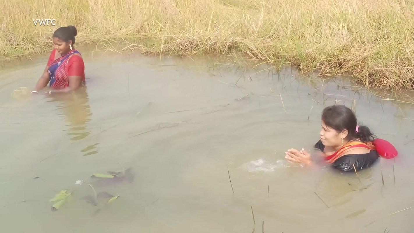 Amazing Village Women Fishing Big Murrell Fish