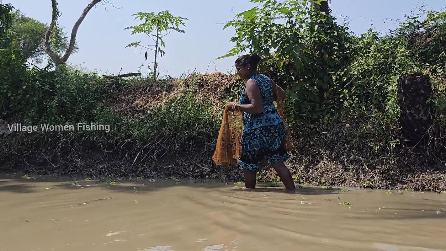 Amazing Village Women Fishing in Mud Water    Big