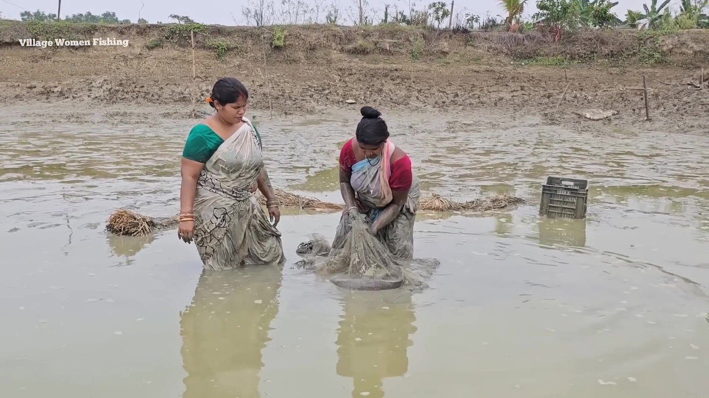Amazing Village Women Fishing in Mud    Big Cat fi
