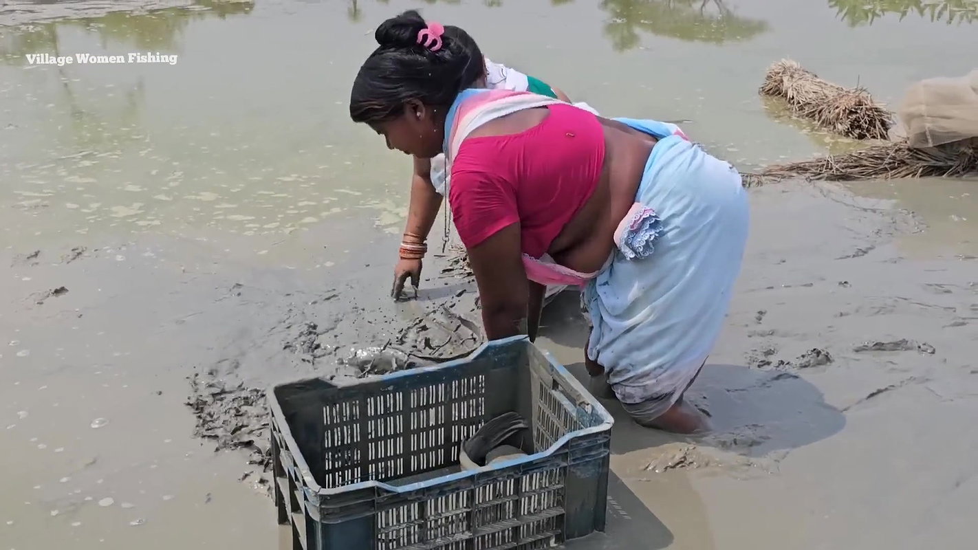 Amazing Village Women Fishing in Mud    Big Cat fi
