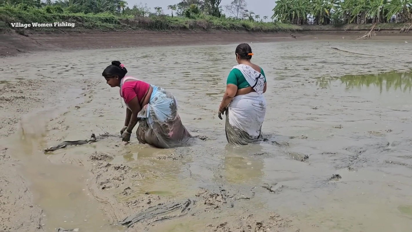 Amazing Village Women Fishing in Mud    Big Cat fi