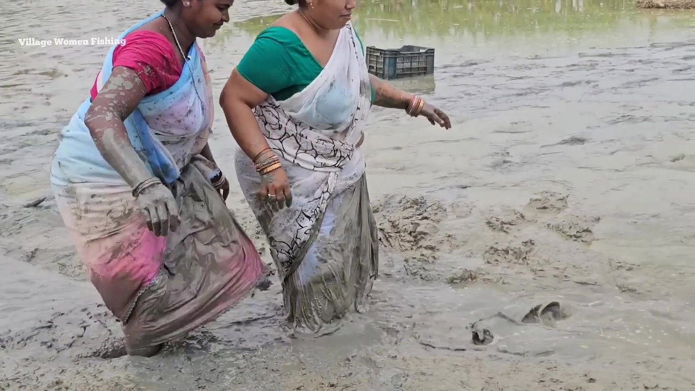 Amazing Village Women Fishing in Mud    Big Cat fi