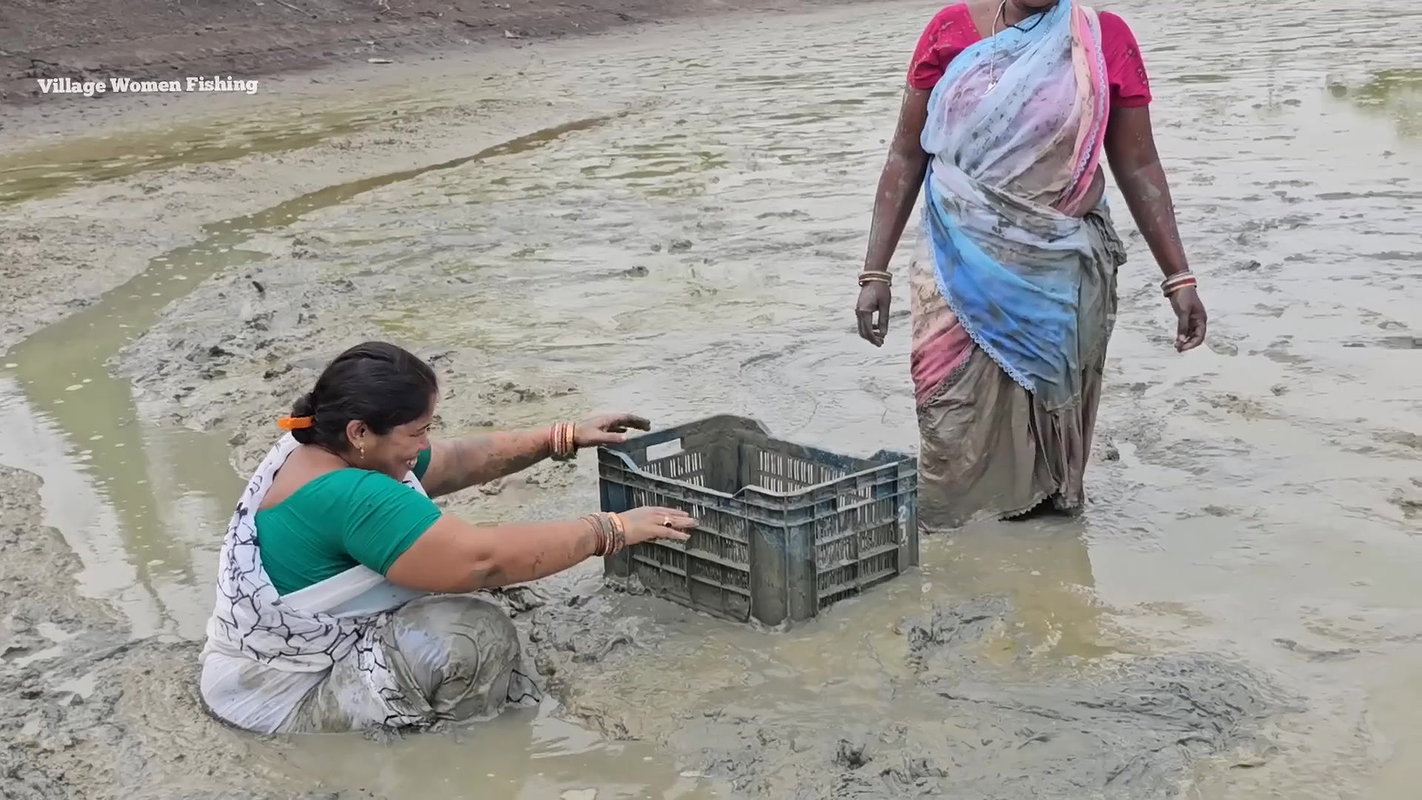 Amazing Village Women Fishing in Mud    Big Cat fi