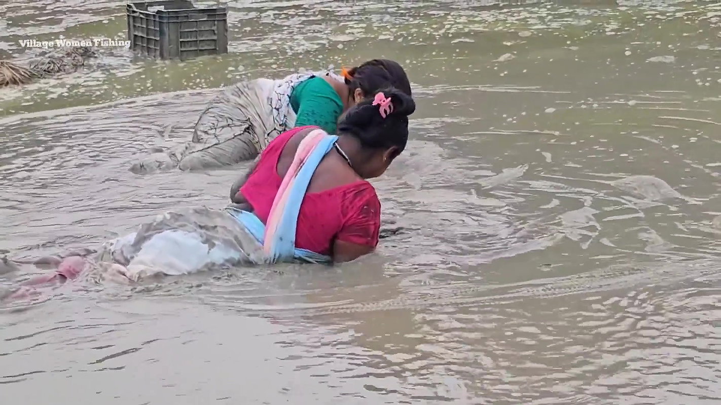 Amazing Village Women Fishing in Mud    Big Cat fi