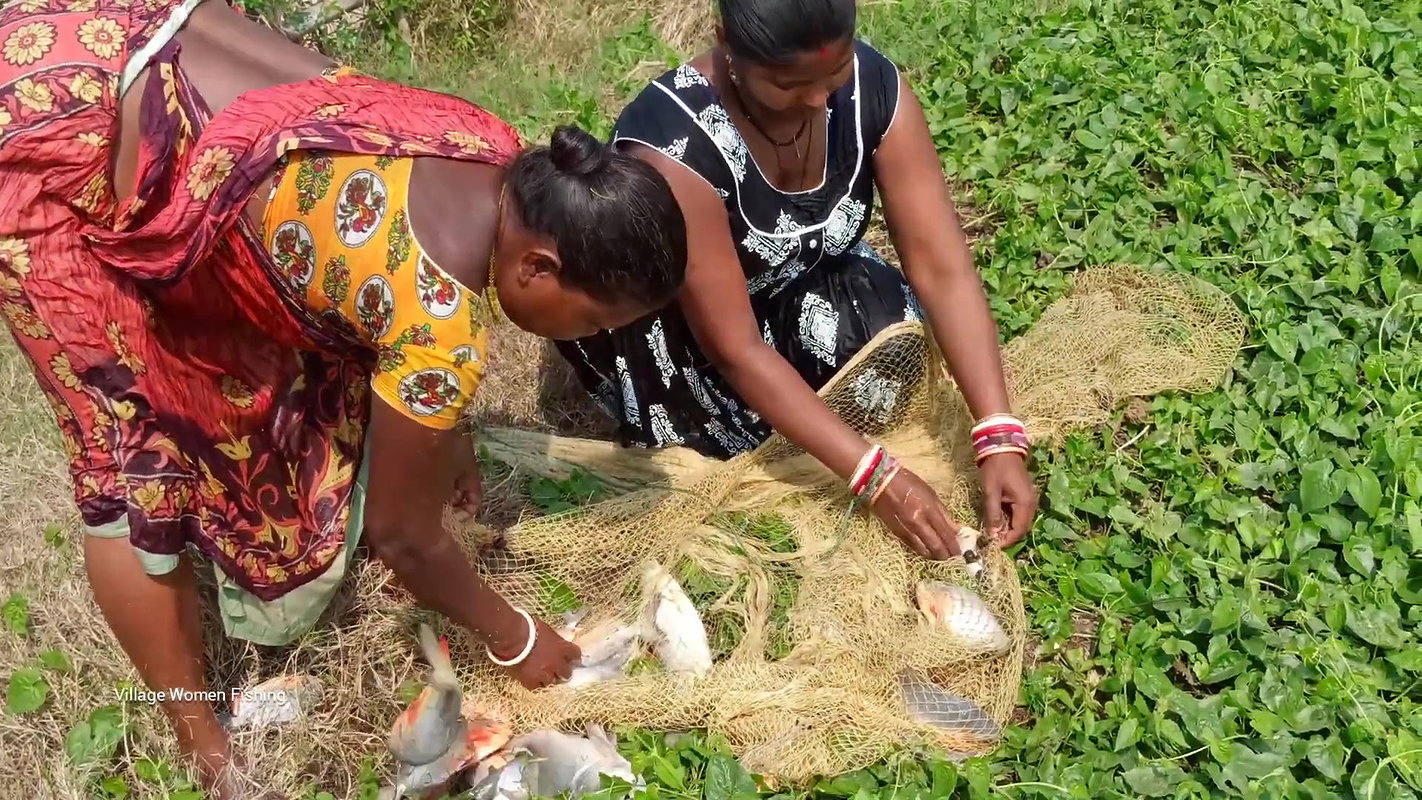 Amazing Village Women Fishing in village pond   Bi