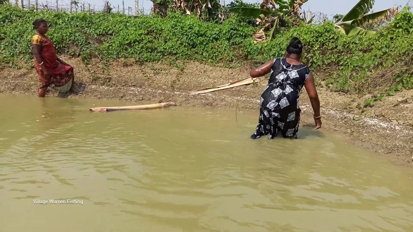 Amazing Village Women Fishing in village pond   Bi