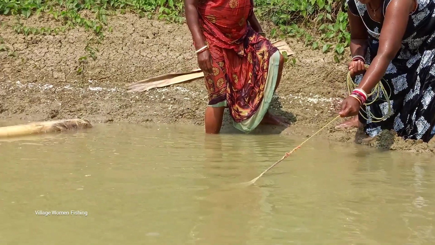 Amazing Village Women Fishing in village pond   Bi