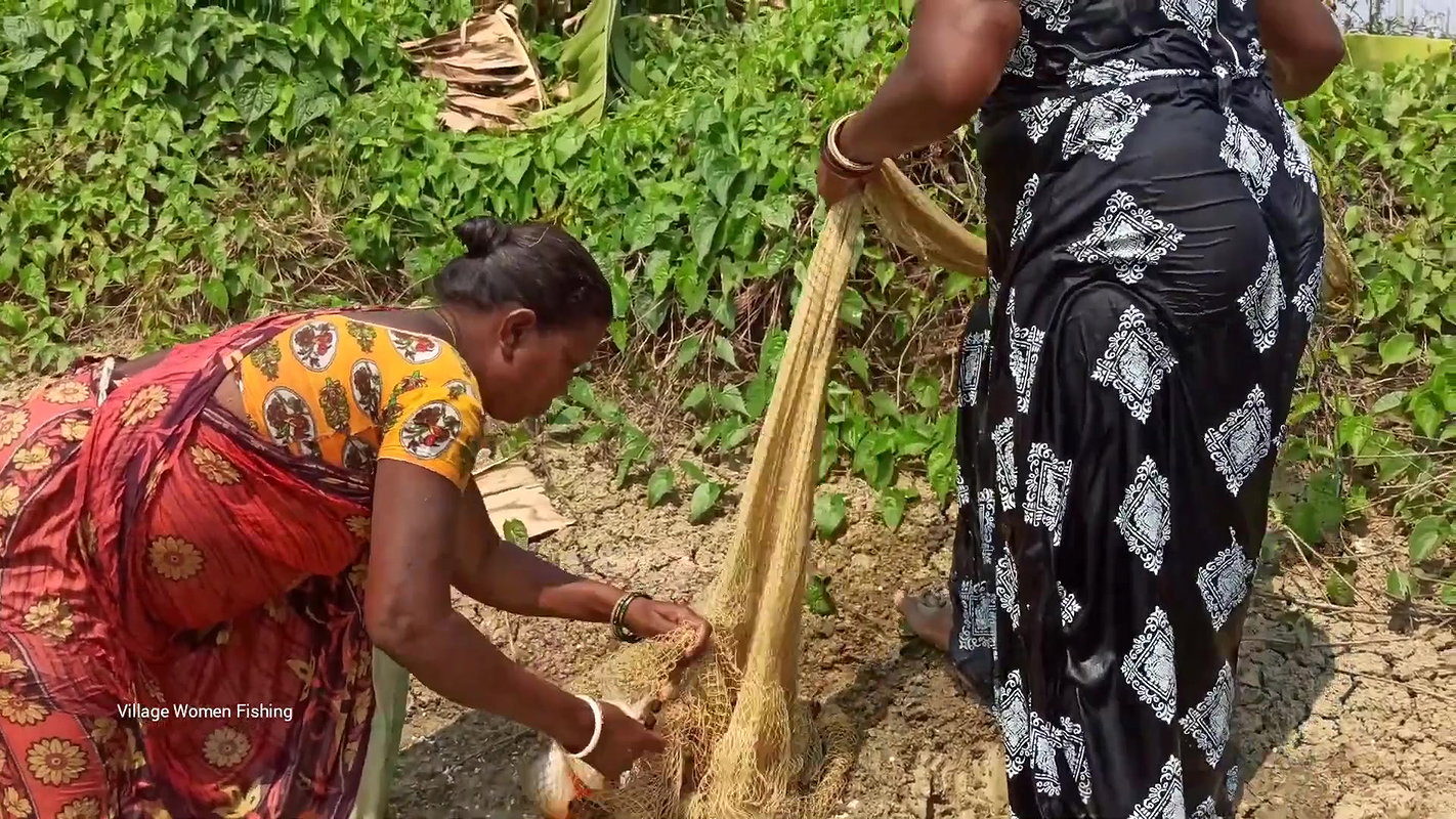 Amazing Village Women Fishing in village pond   Bi