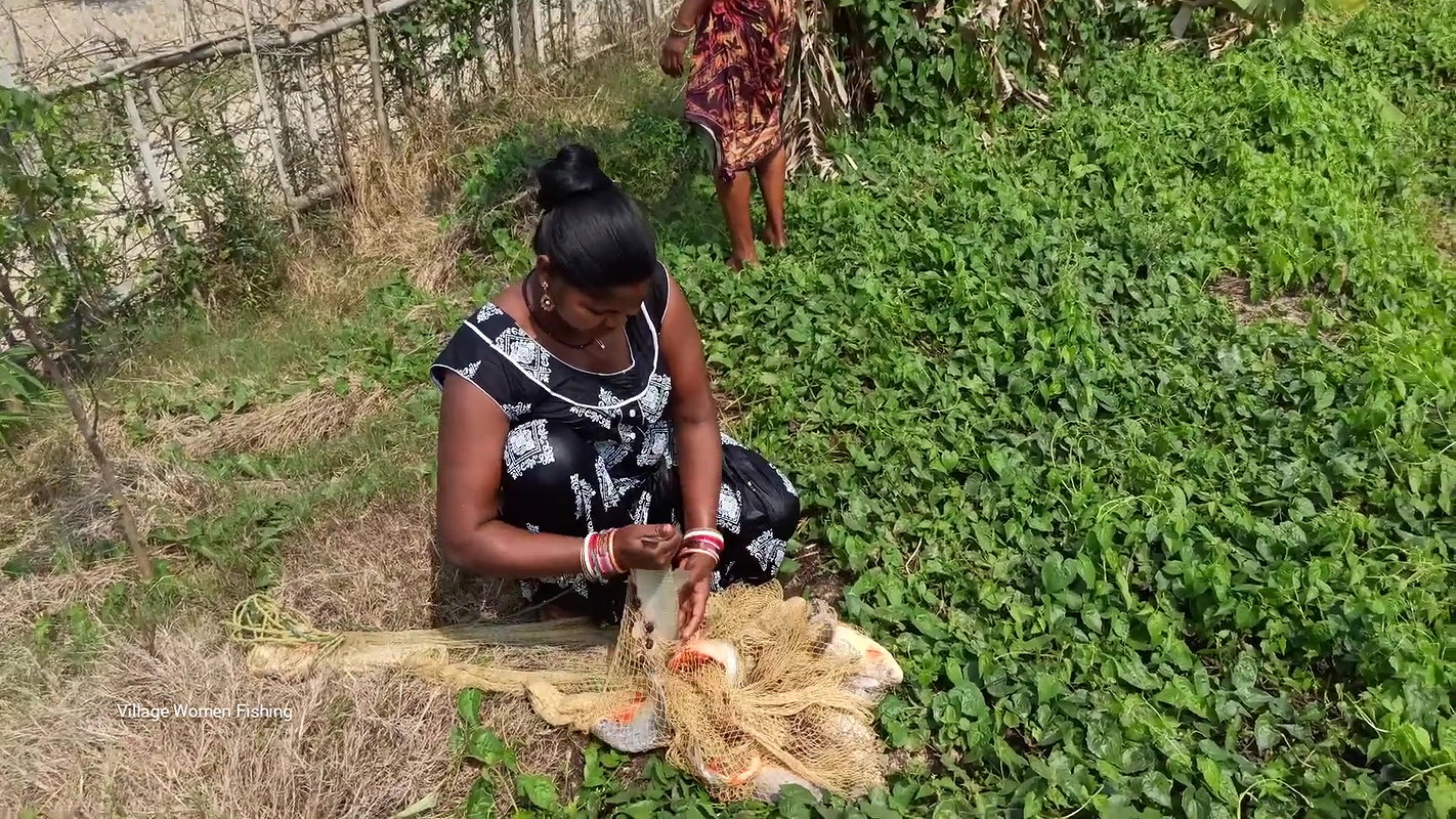 Amazing Village Women Fishing in village pond   Bi