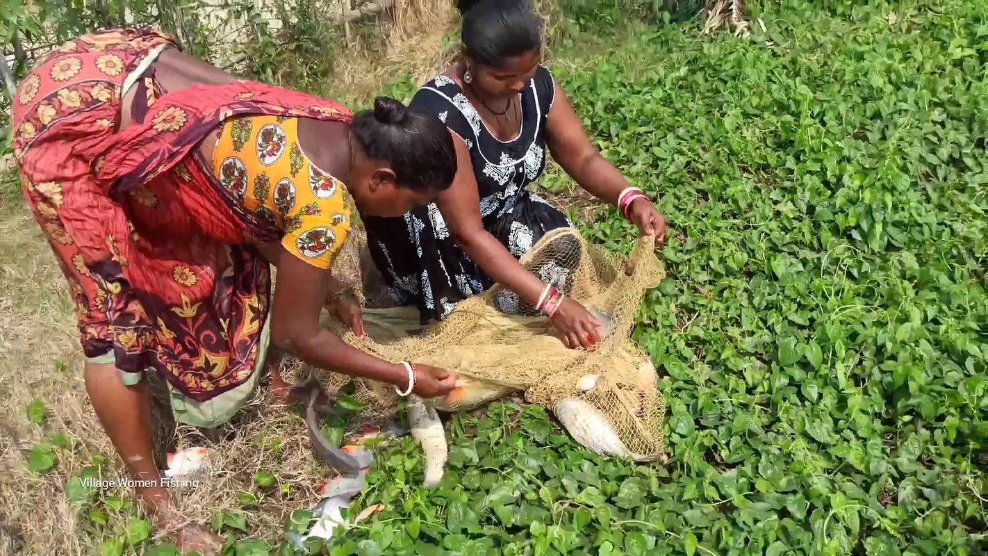 Amazing Village Women Fishing in village pond   Bi