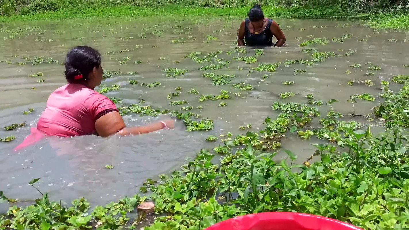 Amazing village women fishing in village pond   Ne