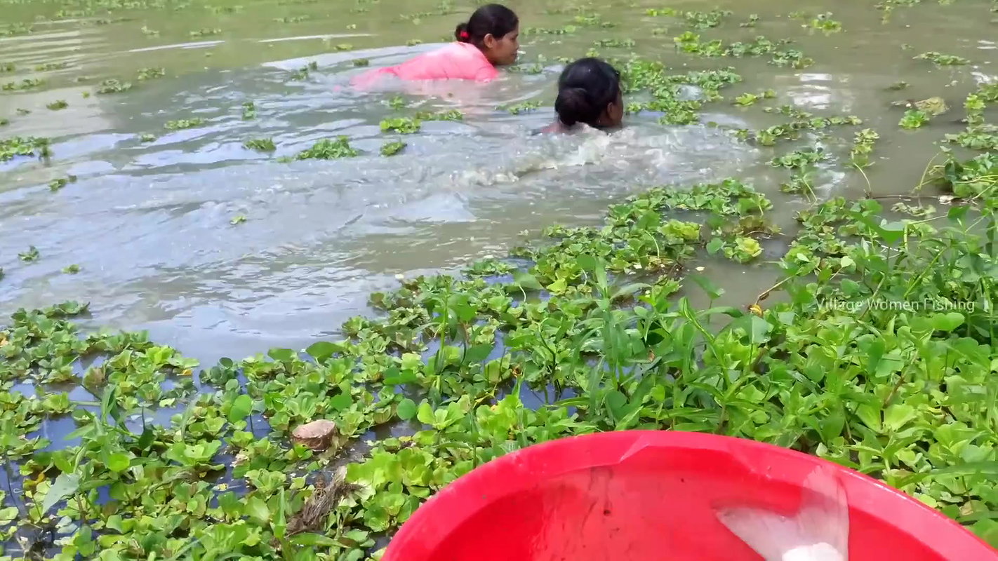 Amazing village women fishing in village pond   Ne