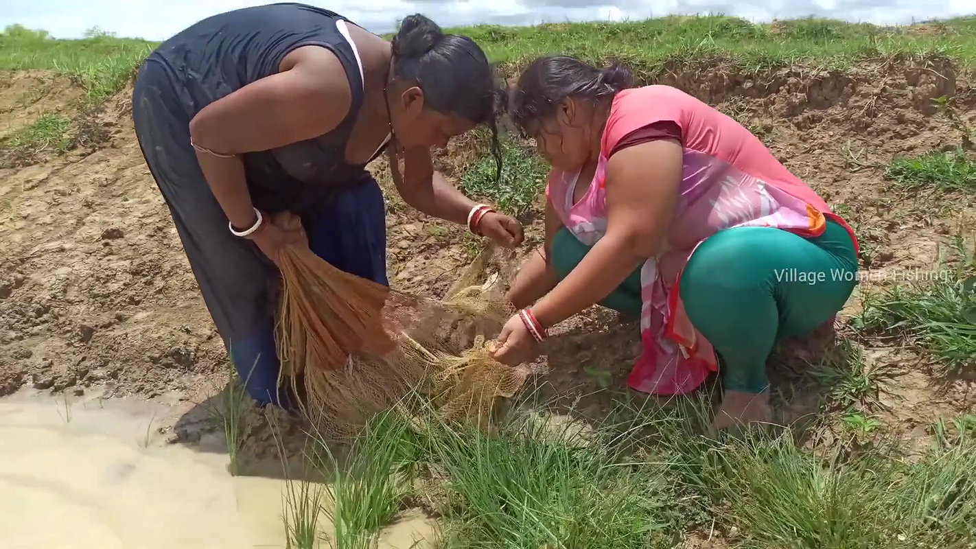 Amazing Village women fishing in village pond   Po