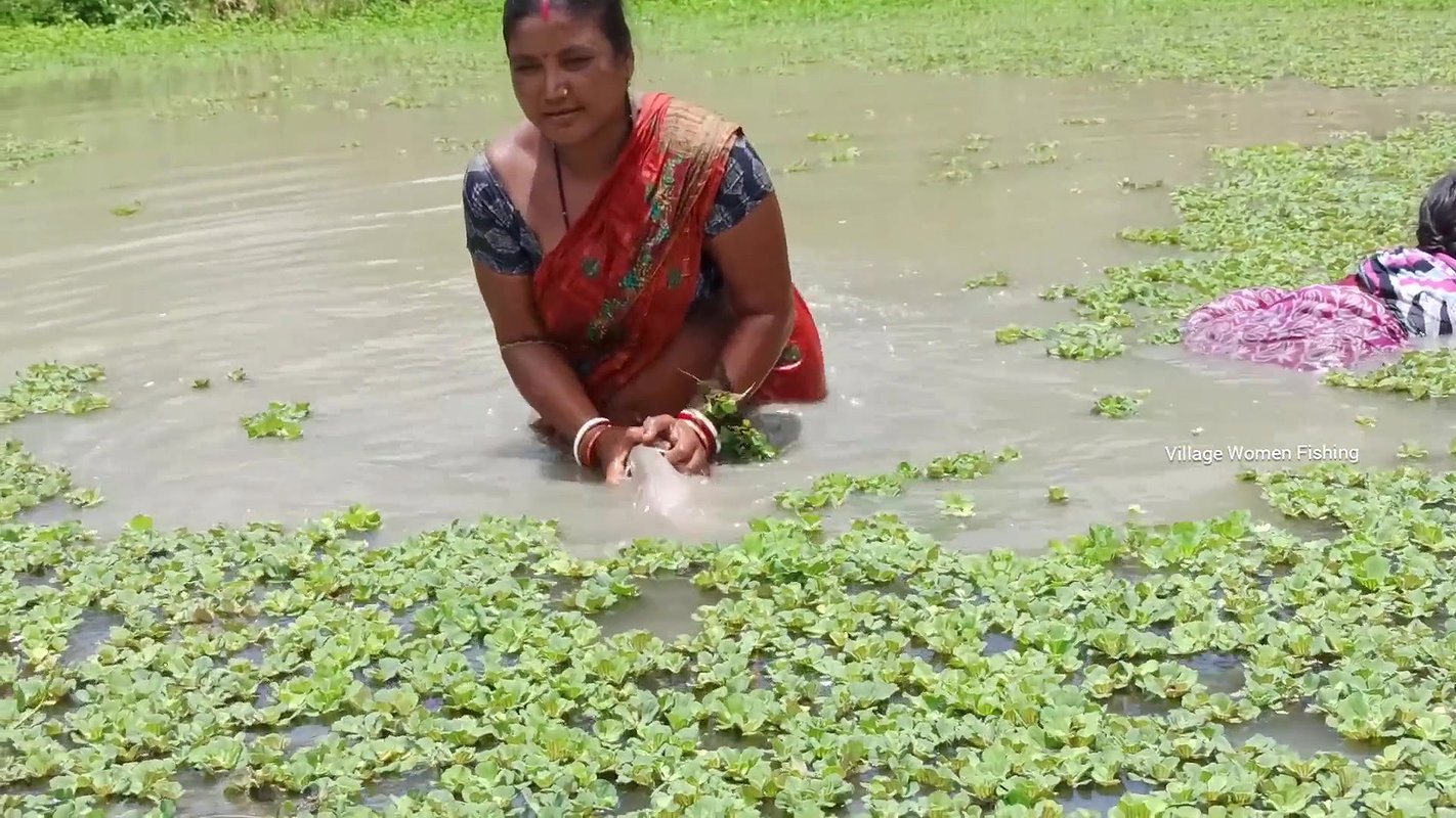 Amazing Village women fishing in village pond   vi