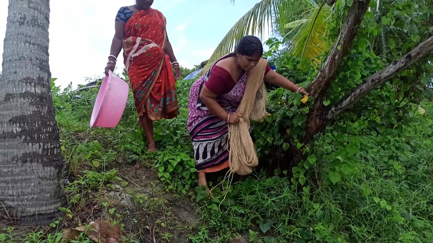 Amazing Village women fishing in village pond   vi