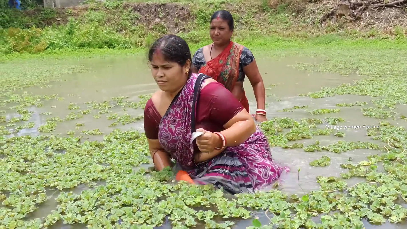 Amazing Village women fishing in village pond   vi