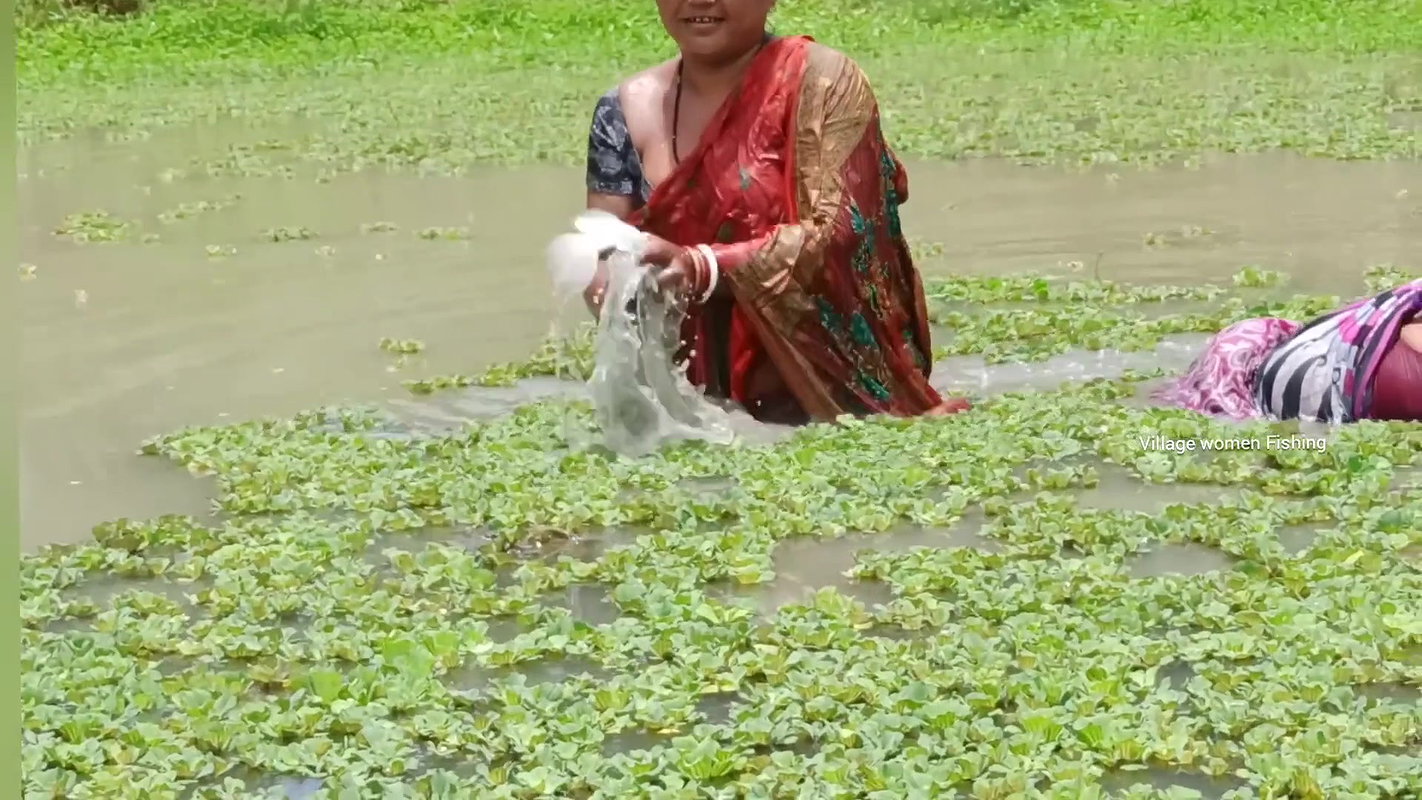 Amazing Village women fishing in village pond   vi