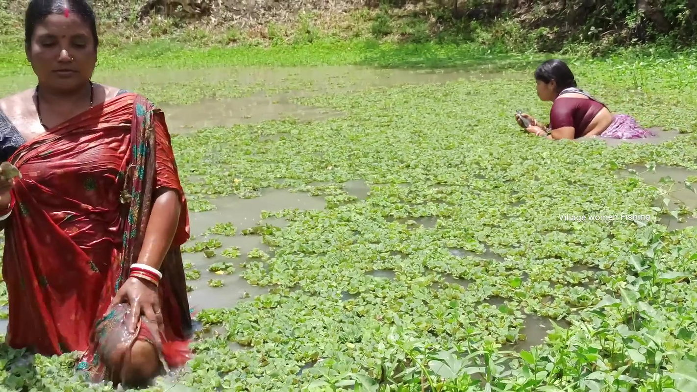 Amazing Village women fishing in village pond   vi