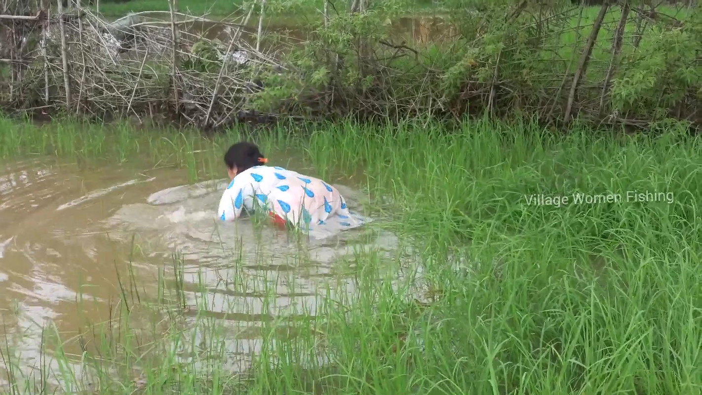 Amazing village women fishing technique    village
