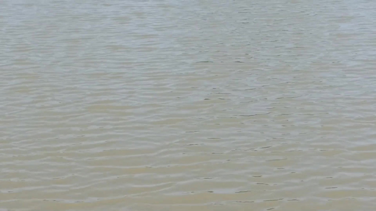 Amazing village women fishing using big net  মৌনি