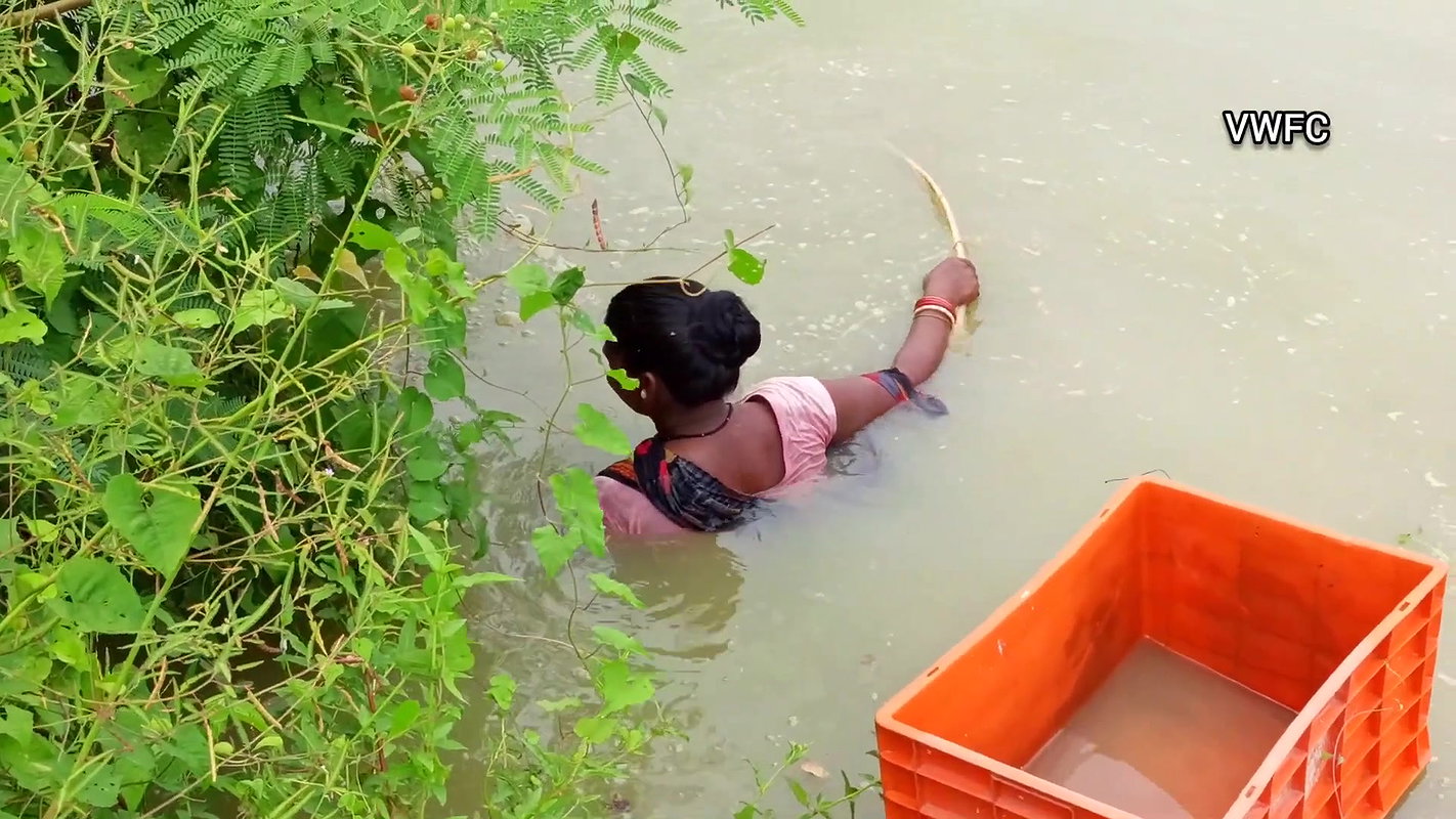 Amazing village women fishing using big net  মৌনি