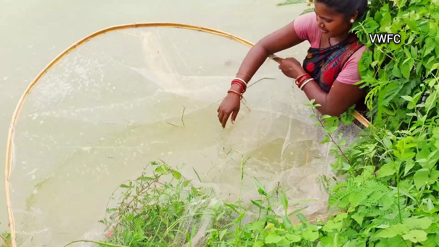 Amazing village women fishing using big net  মৌনি
